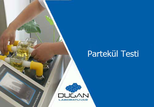 Partekül Testi